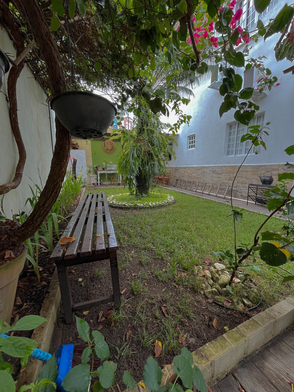A spacious outdoor area features a well-maintained lawn surrounded by green plants and decorative stones. A wooden bench sits beneath a tree, providing a shaded spot to relax. A glimpse of a colorful wall is visible in the background, enhancing the tranquil setting.
