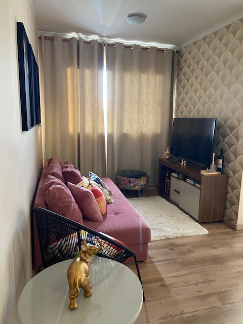 Entire apartment 5 min. from downtown