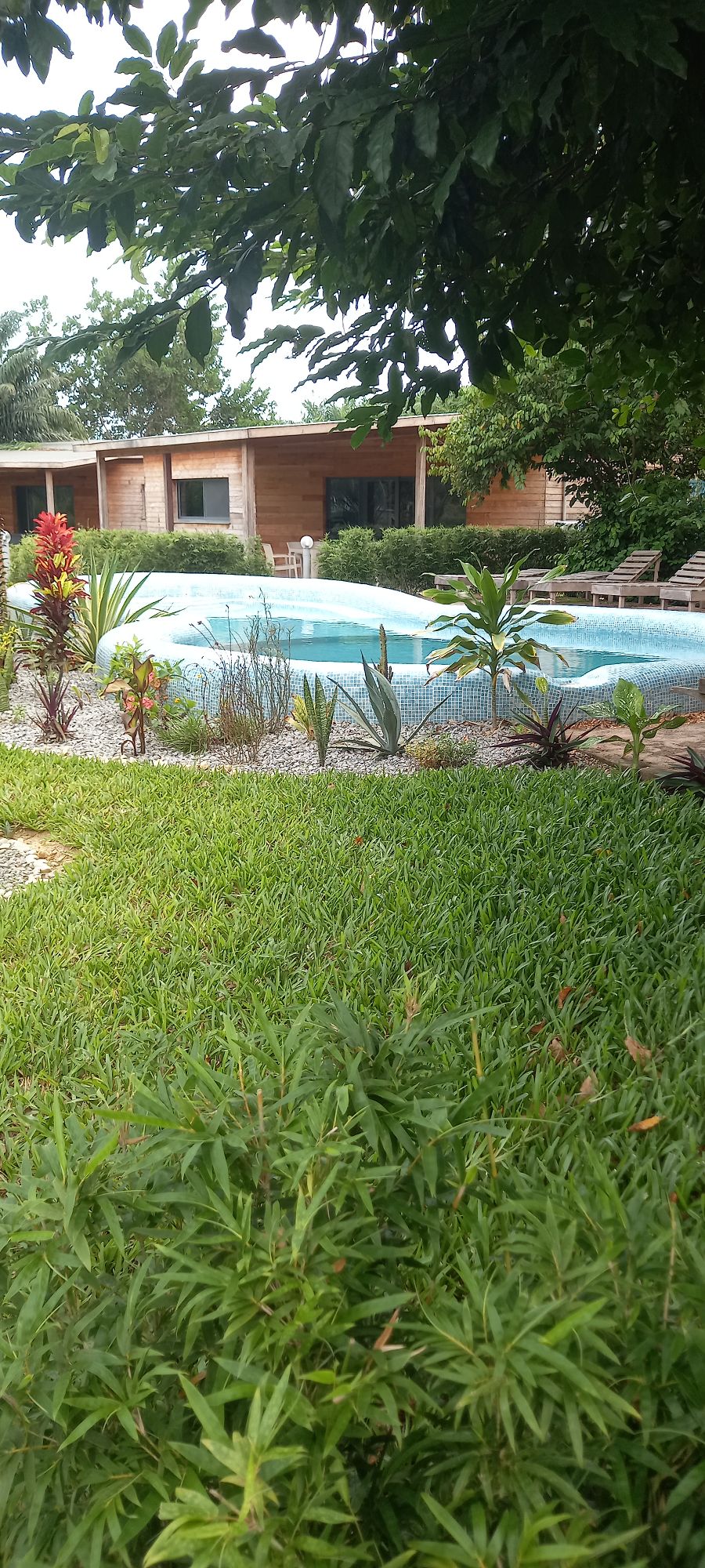 A serene outdoor setting features a swimming pool surrounded by landscaped gardens. Dense greenery, including shrubs and flowering plants, enhances the natural beauty. The villa can be glimpsed in the background, completing a peaceful ambiance.