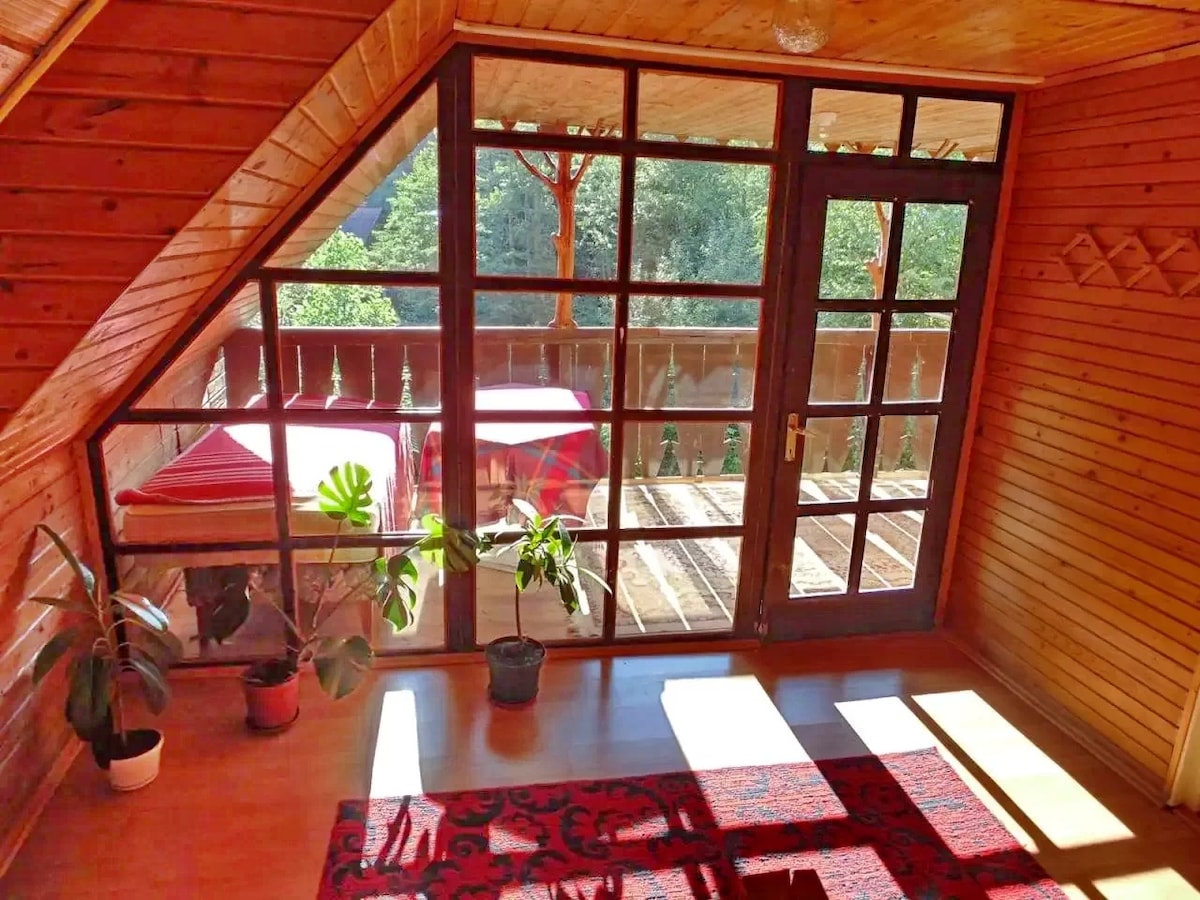 A bright indoor space is defined by large glass doors opening to a balcony, allowing natural light to fill the room. Potted plants are positioned on the floor, with wooden paneling enhancing the warm ambiance. A patterned rug adds color to the wooden flooring.