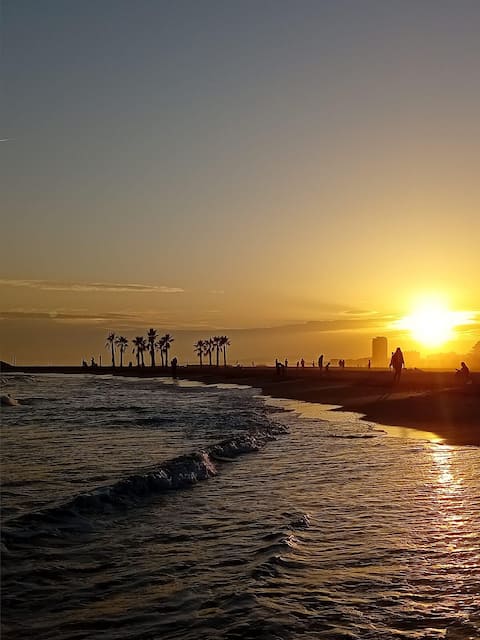 Successful Airbnb property: Apartment 30 meters from the beach, sea view in Valras Plage