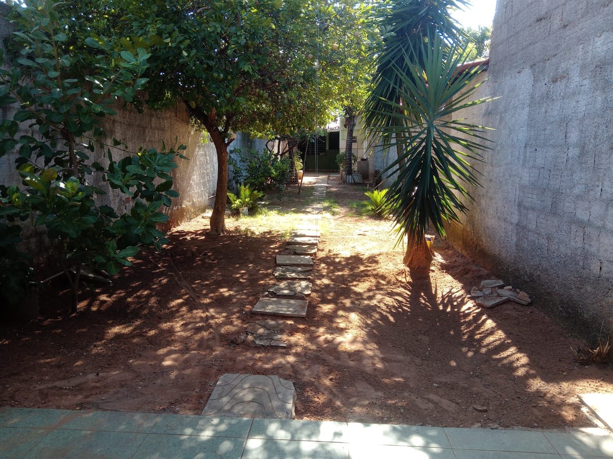 A serene garden area is highlighted by natural pathways made of flat stones, leading through a mix of greenery. Tall plants and trees provide shade, while sunlight filters through the leaves, creating a calm and inviting outdoor space.