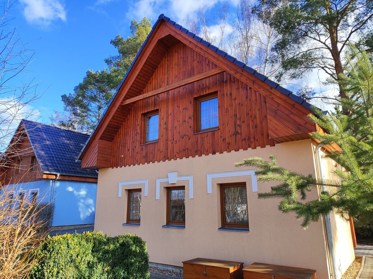 The exterior of the house is shown, featuring a mix of wooden and plaster walls. Two large windows with grid patterns are visible, framed by trees and shrubs. Natural light enhances the warm tones of the wood accents on the roof.