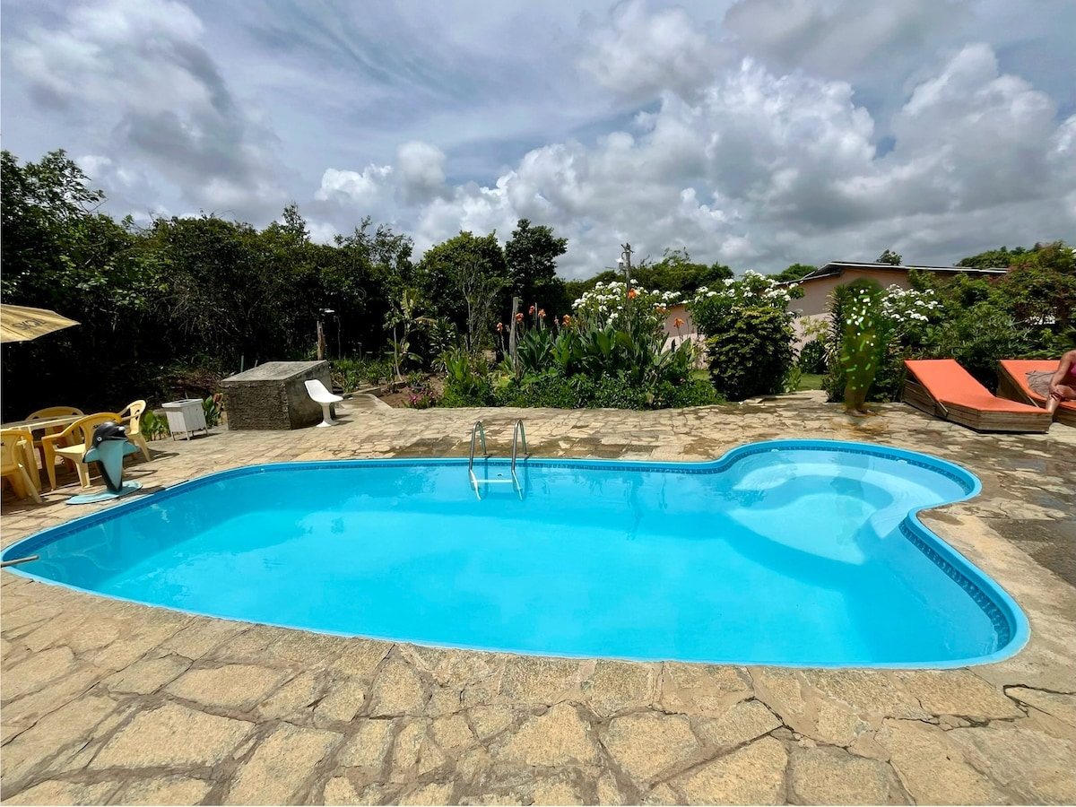 A clear blue pool is surrounded by natural stone tiles, with chairs arranged under a shade umbrella. Lush greenery encircles the area, offering a serene environment for relaxation. The sky features soft clouds, adding a calm ambiance to the outdoor space.