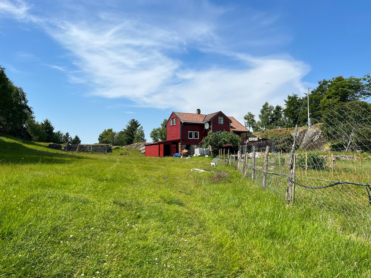A spacious red house is situated amidst lush green grass under a clear blue sky. Surrounding trees provide a natural backdrop, while a wooden fence lines the foreground, emphasizing the peaceful, rural setting.