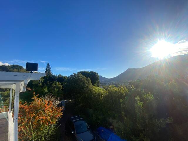 The Home of Light and Leaves gallery image 4