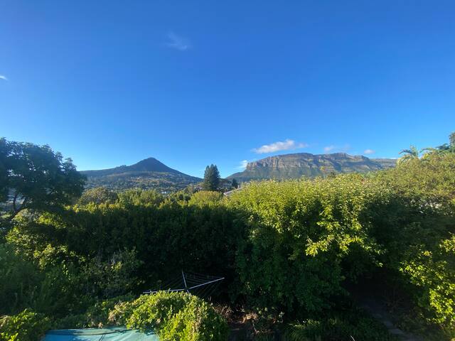 The Home of Light and Leaves gallery image 3