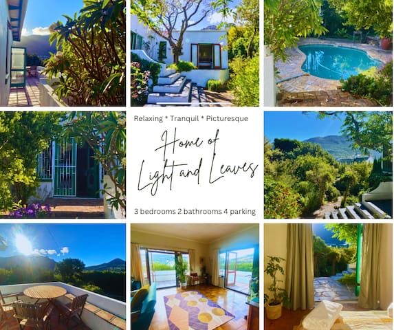 The Home of Light and Leaves