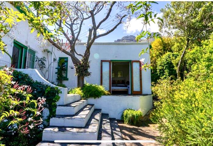 The Home of Light and Leaves gallery image 2