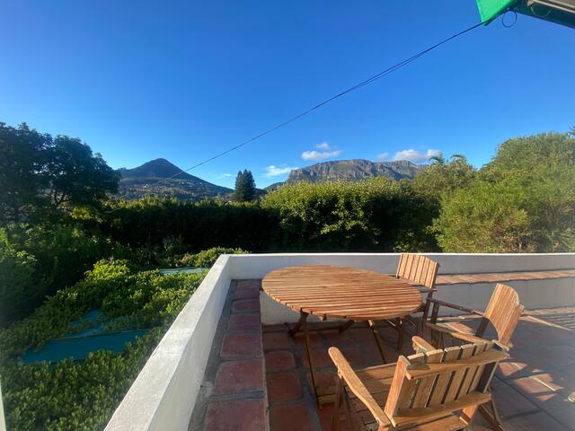 The Home of Light and Leaves gallery image 5