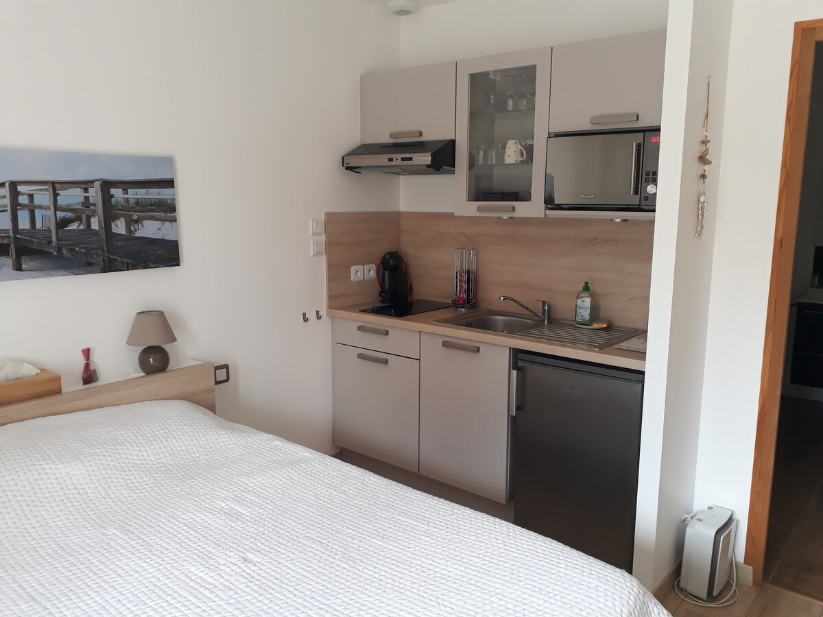 A studio space is shown, featuring a combined sleeping area and kitchenette. Light-colored cabinetry complements the countertop. Kitchen appliances are neatly arranged, including a microwave and a sink. A cozy lamp adds warmth to the corner, and a simple wall decoration enhances the room's decor.
