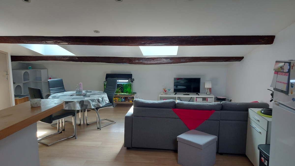 Successful Airbnb property: Furnished T2 equipped with all comforts in Pézenas