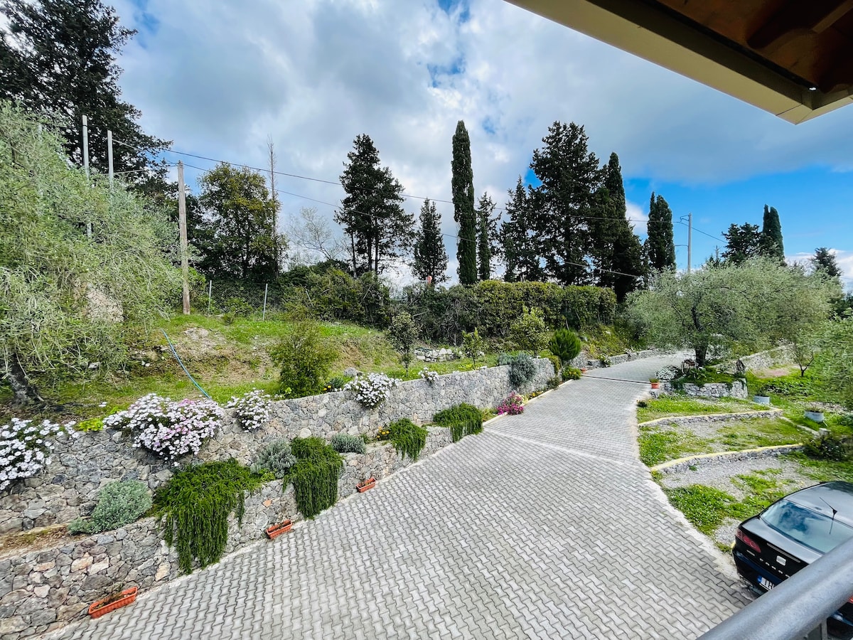 A paved driveway winds through a lush garden, featuring various flowering plants and well-maintained greenery. Olive trees are visible in the background, and a scenic view of the landscape is framed by the apartment balcony. The sky is mostly cloudy.