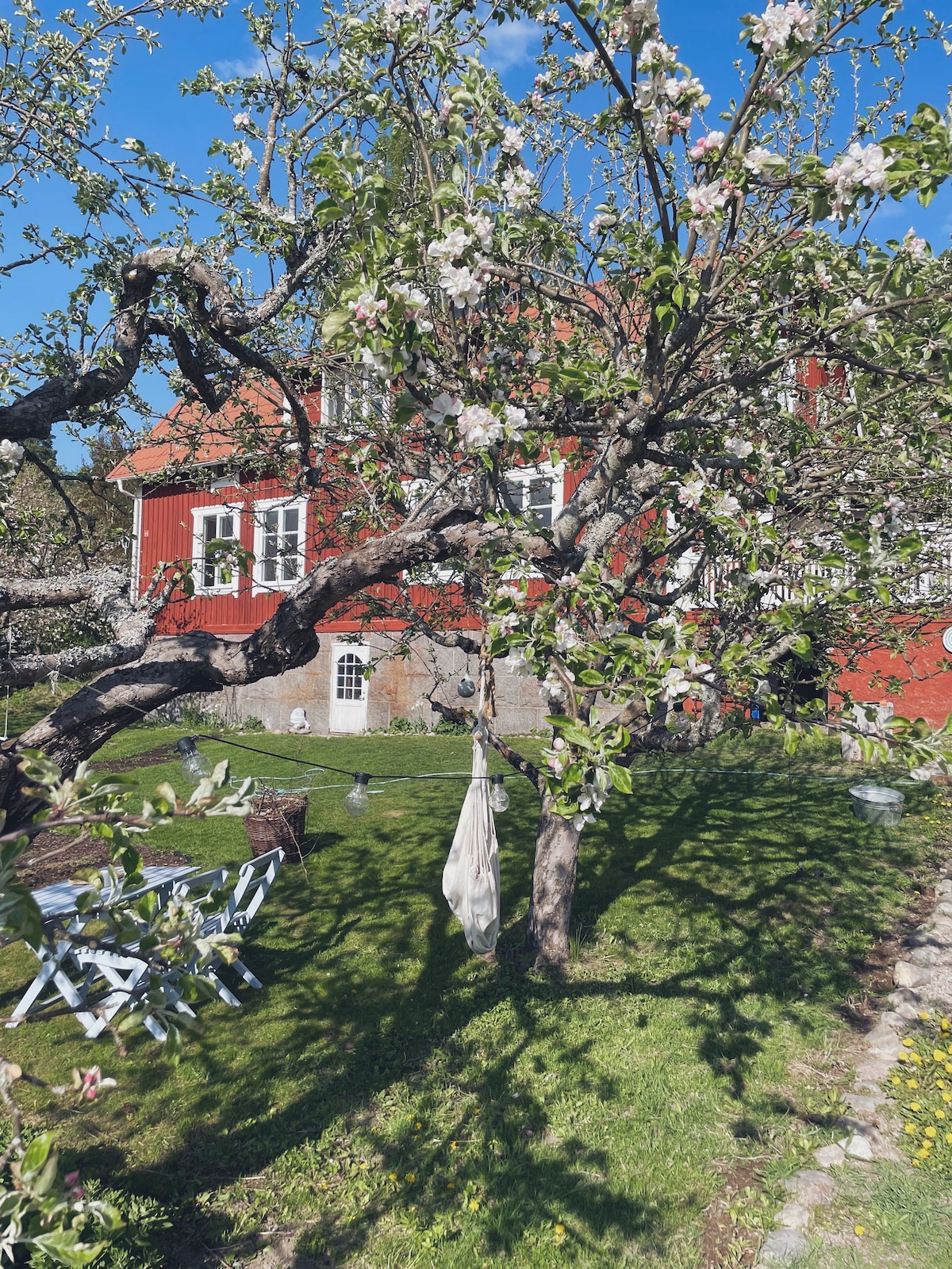 A vibrant garden features an apple tree in bloom, with branches extending towards a red house in the background. A hammock is draped between two branches, while a seating area with white chairs is placed on the lawn, surrounded by lush greenery.