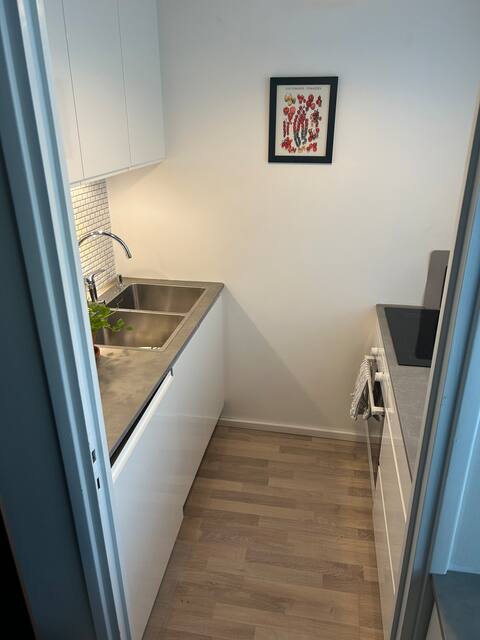 Popular Airbnb listing: Renovated studio in the city center in Keskusta
