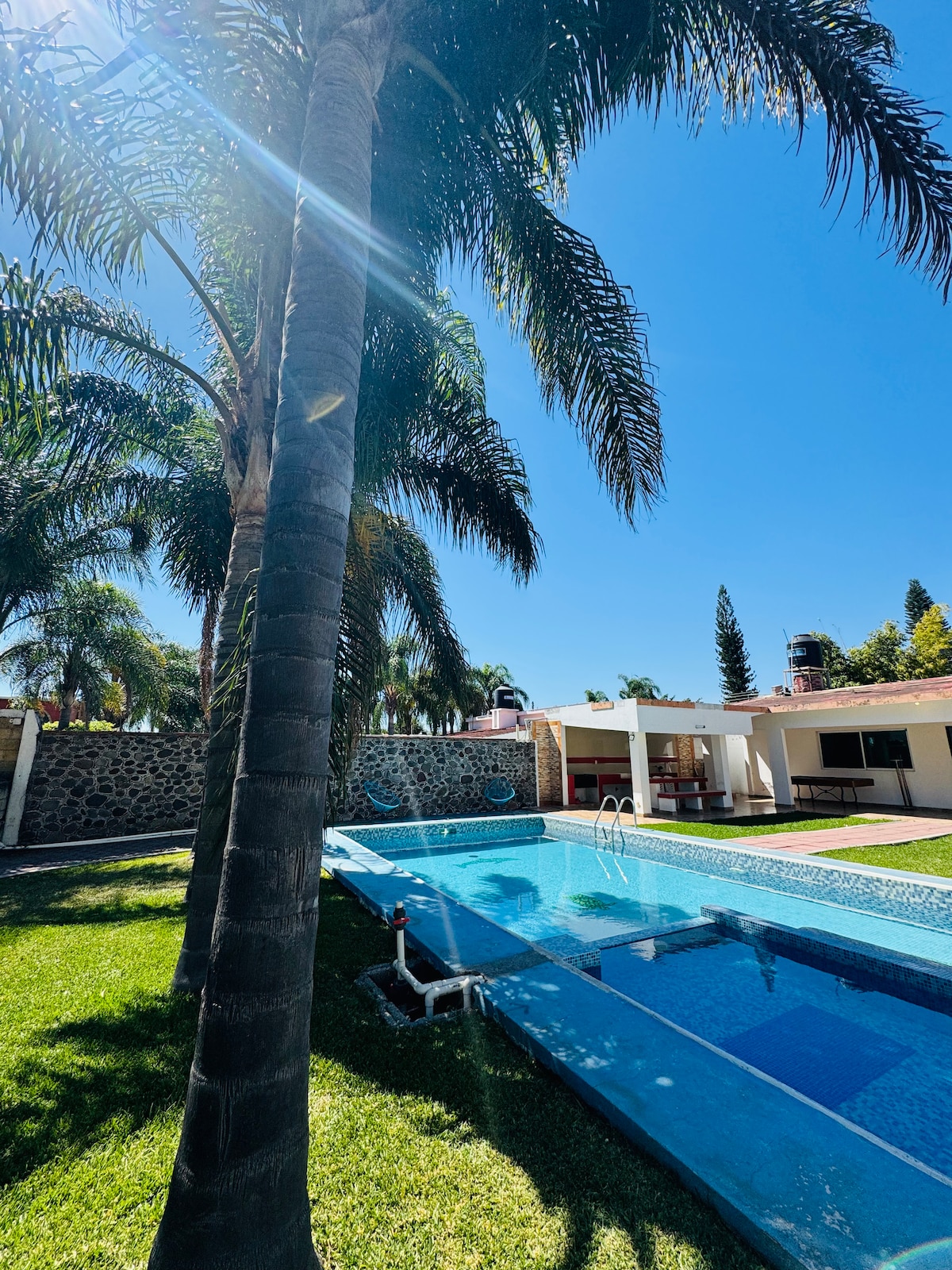 A private pool is surrounded by well-maintained grass and palm trees, offering a relaxing outdoor space. Sunlight reflects off the clear blue water, while a shaded area with patio seating is visible in the background alongside the house.
