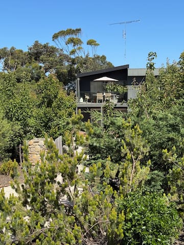 Point Roadknight with tree and ocean views. gallery image 3