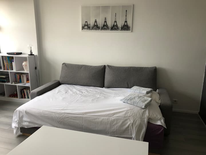 je slaapt op een comfortabele slaapbank, lakens zijn aanwezig 