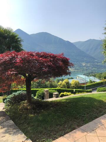 Villa Colle gallery image 4