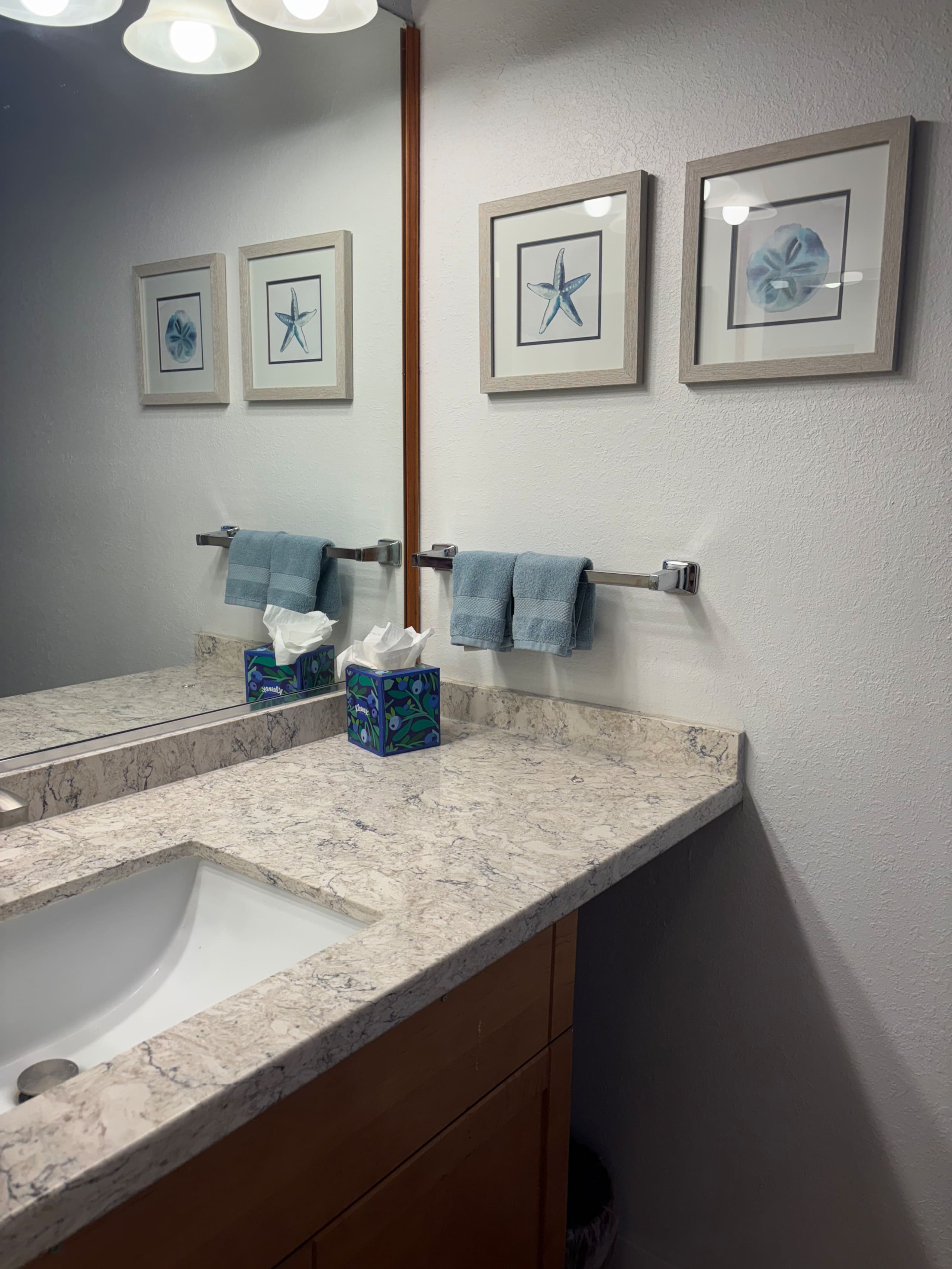 Condo in Kihei · ★4.9 · 2 bedrooms · 2 beds · 2 private baths - Image 13