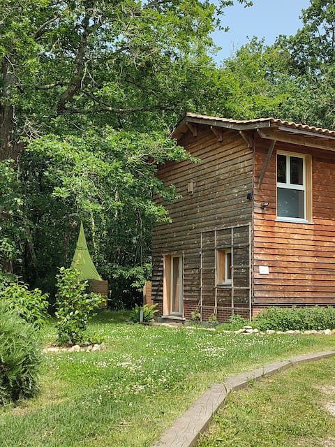 The Suroît tree house, between forest and ocean.