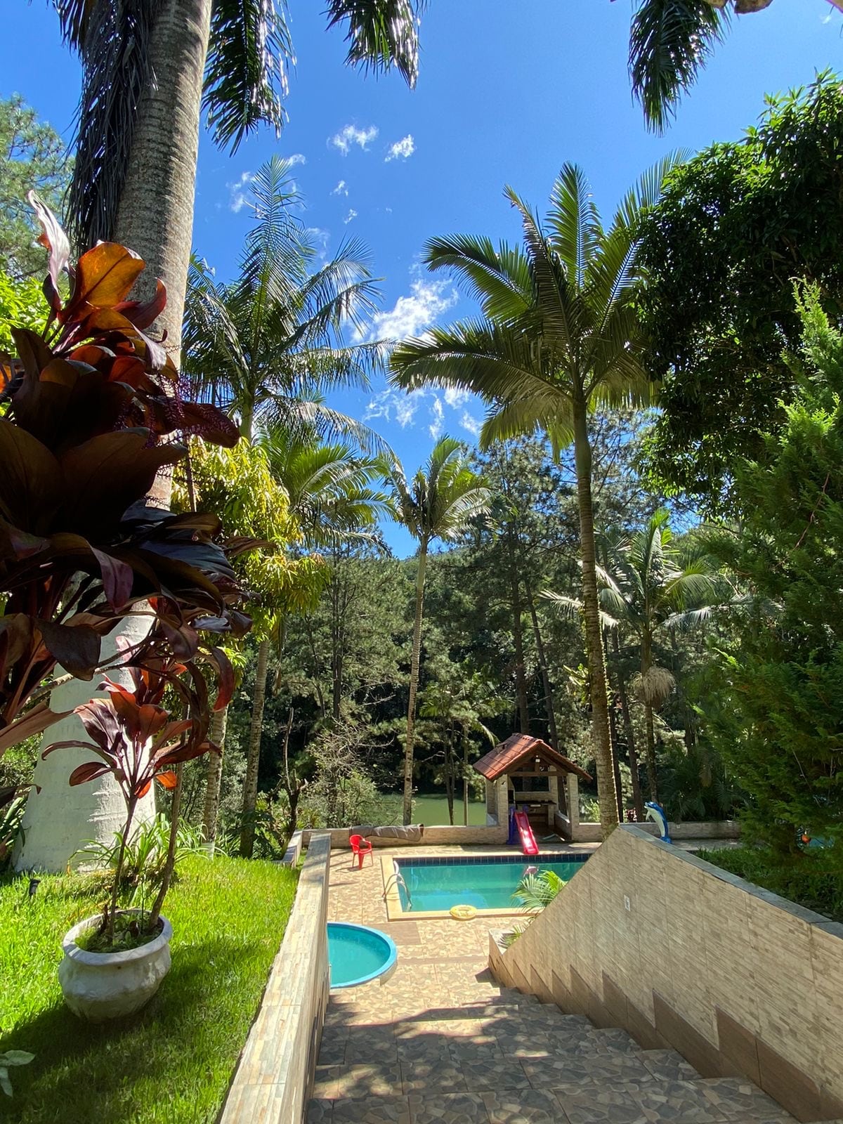 A pool area is framed by lush greenery, with palm trees and vibrant plants surrounding the space. A gently sloped path leads down to the pool, which features circular and rectangular shapes. Beyond the pool, views of a wooded area can be seen under a clear blue sky.
