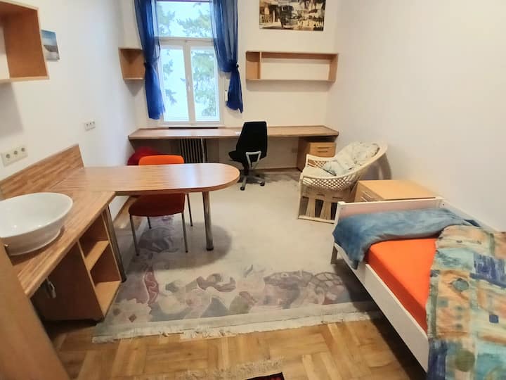 Útulná izba s posteľou, pracovným priestorom, jedálenským kútom a vlastným umývadlom v izbe.
