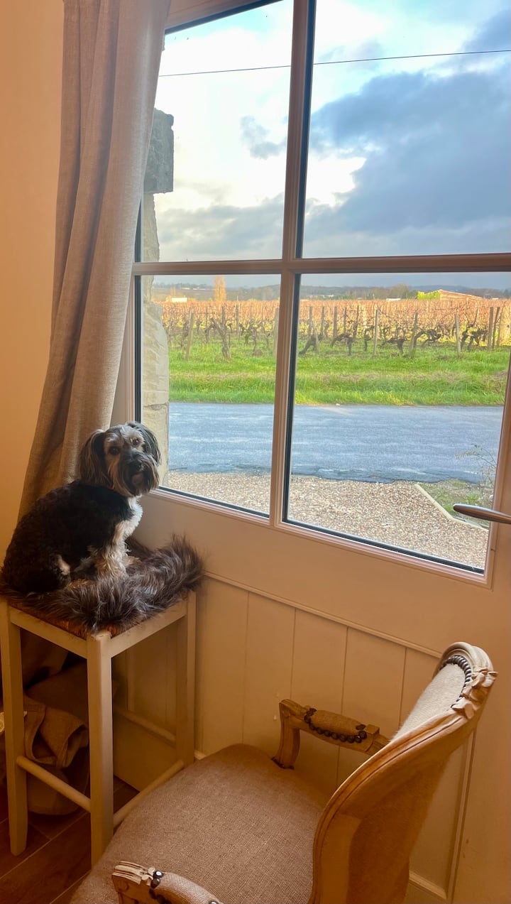 La Petite Maison Dans Les Vignes - Saint-Émilion