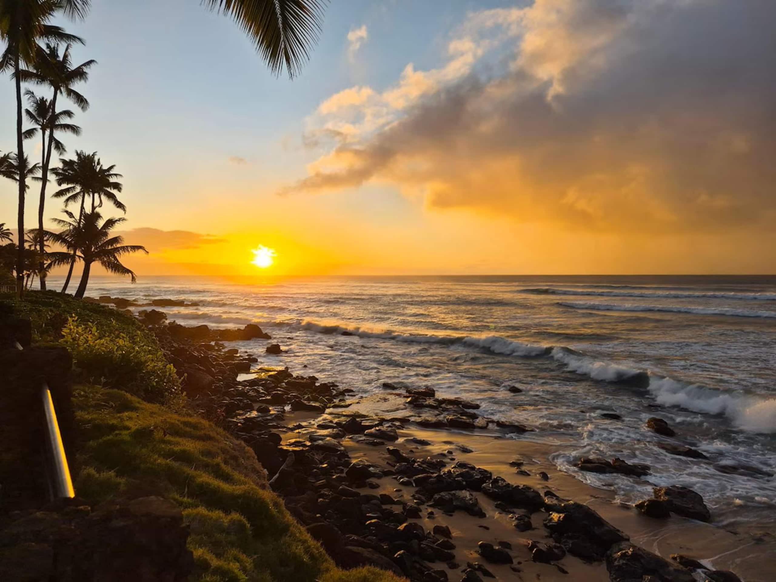 Condo in Lahaina · ★4.96 · 1 bedroom · 2 beds · 1 bath - Image 36