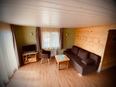 Popular Airbnb listing: 3-room apartment Chalet Ramona in Riederalp