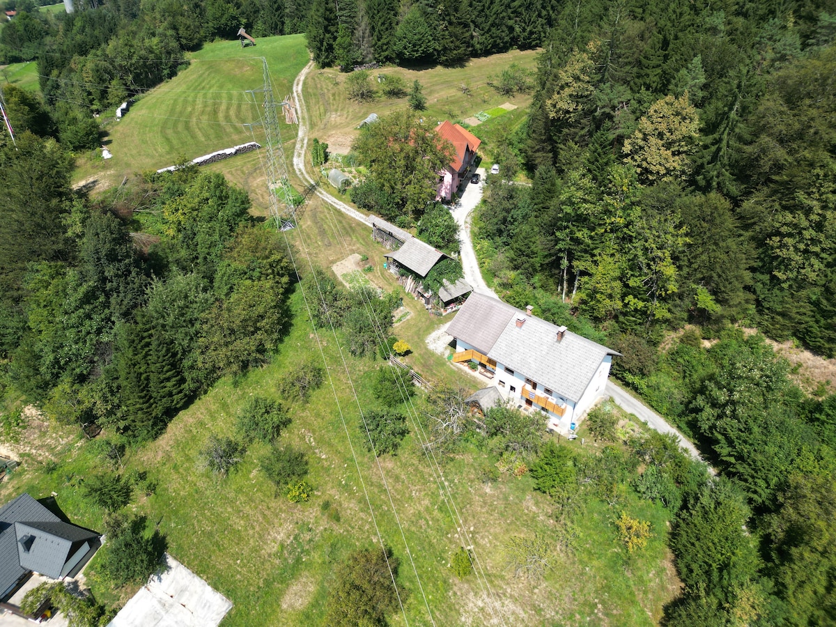 Aerial view of a spacious property surrounded by lush greenery and trees. The landscape includes a well-maintained garden, walking paths, and several structures, including a main house and additional buildings, all nestled harmoniously within the natural environment.