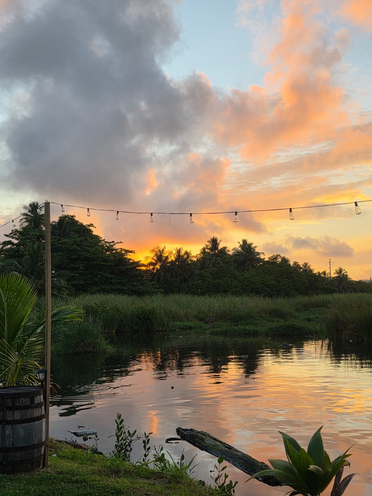 Soft hues of orange and pink fill the sky as the sun sets over a tranquil lagoon. Reflections of vibrant colors dance on the water's surface. A string of lights is visible above, with lush greenery framing the scene, creating a peaceful and serene atmosphere.