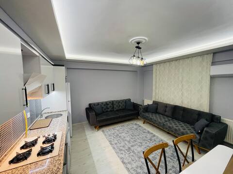 Natural gas  and air conditioning in the Bayrakli area of love road
