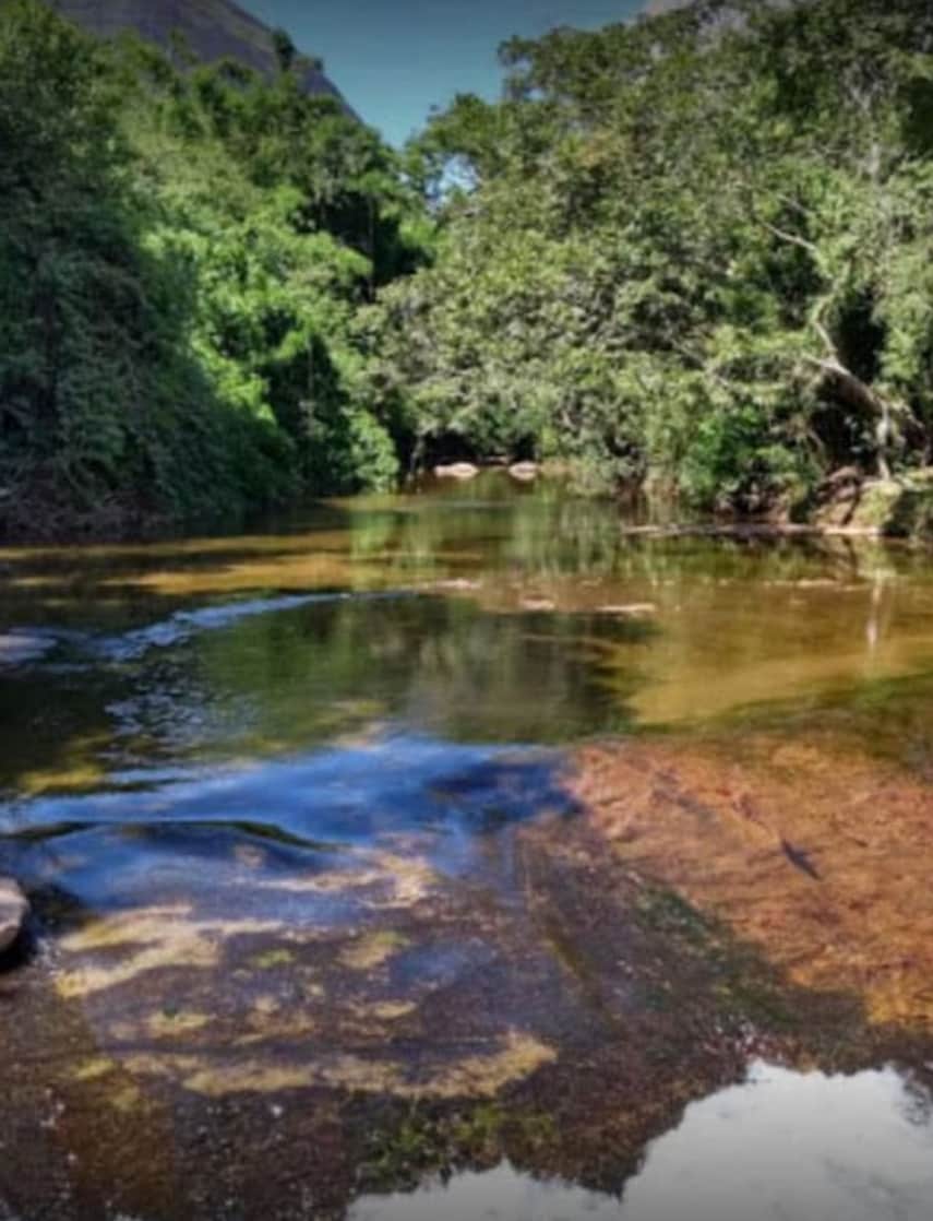 A serene natural setting is depicted, featuring a gently flowing river surrounded by lush greenery. Sunlight glistens on the water's surface, highlighting the clear, shallow areas and smooth stones beneath. Overhanging trees provide shade along the riverbank, creating a peaceful atmosphere.