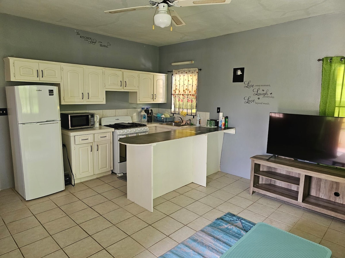 An open kitchen is visible, featuring cream-colored cabinetry and a stainless steel refrigerator. A microwave and stovetop are included, along with counter space that facilitates meal preparation. Adjacent, a TV sits on a wooden stand, and natural light filters through a window with green curtains.