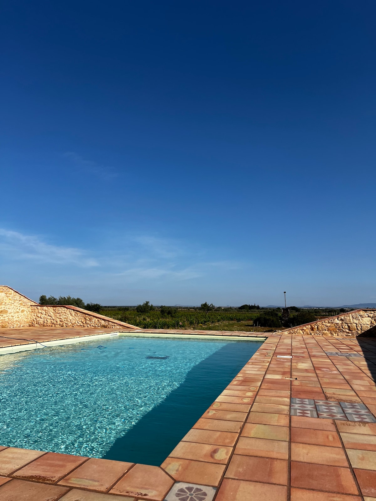 An infinity pool is featured, with clear blue water extending towards the horizon. Surrounding stone tiles reflect natural light, while lush greenery is visible in the background, enhancing the serene atmosphere. A clear blue sky adds to the tranquil setting.