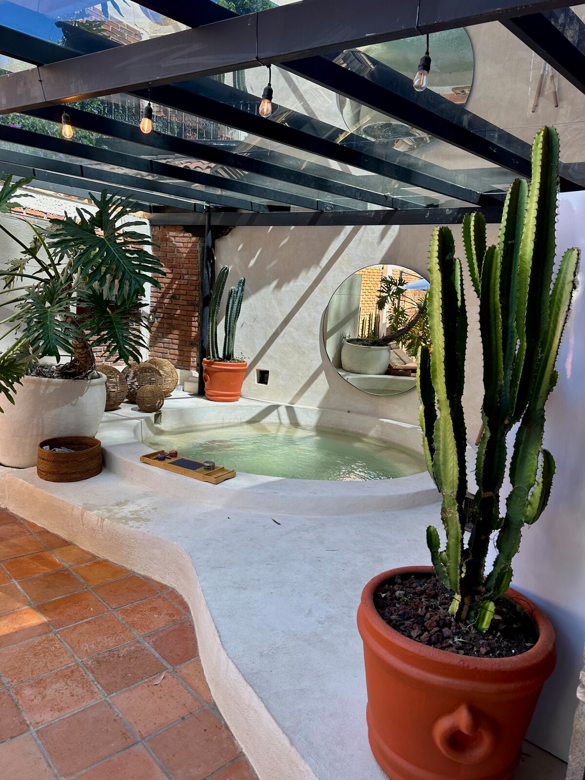 A serene outdoor space features a small jacuzzi surrounded by lush plants and a textured wall. Natural light filters through a glass roof, casting gentle shadows. Potted cacti and decorative elements offer a tranquil atmosphere for relaxation.