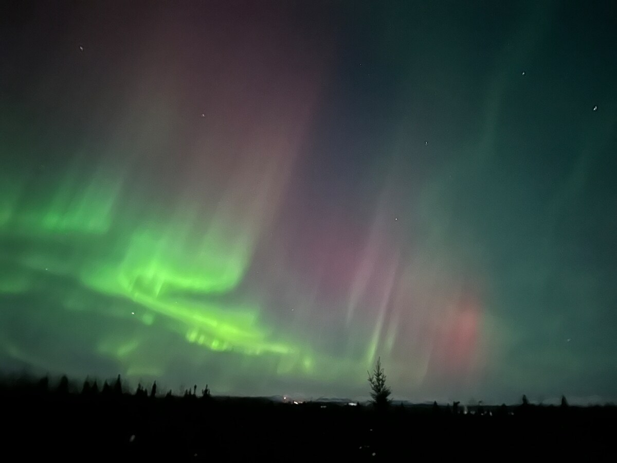 The night sky displays vibrant auroras in shades of green, purple, and pink, sweeping across the horizon. Stars are visible against the dark backdrop, and silhouettes of trees can be seen at the bottom, creating a serene natural setting.