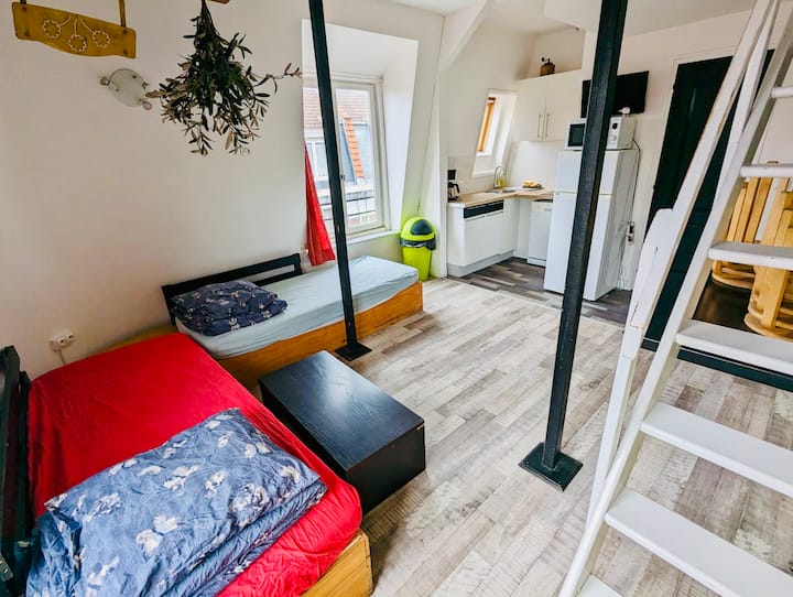 Aymara : Duplex Atypique, Spécial Groupe - Lille