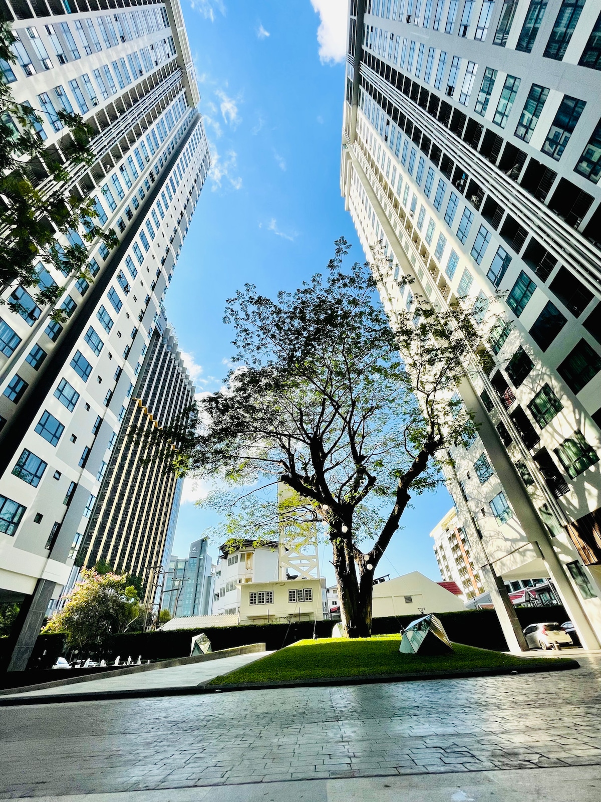 Tall modern buildings rise alongside a verdant green area with a tree at its center. The sunny sky and scattered clouds create a bright backdrop, while the architectural design of the buildings reflects a contemporary urban environment.