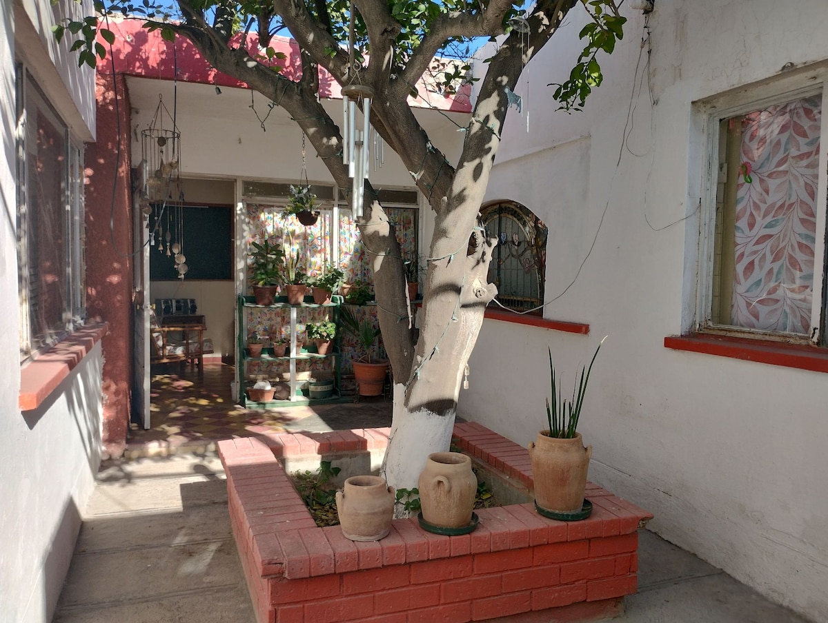 A central courtyard features a mature tree surrounded by a brick planter. Decorative pots are placed at the base of the tree, and sunlight filters through nearby windows, highlighting the shaded area. Lush greenery decorates the background, enhancing the serene environment.