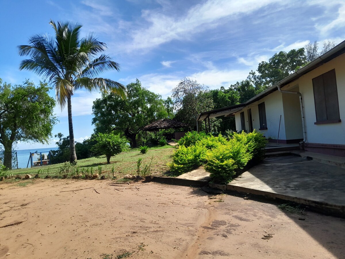 A spacious outdoor area is shown, featuring a sandy surface, lush greenery, and a palm tree. The property includes a low patio and a swing set in the distance, providing a casual and serene environment. Natural light enhances the vibrant landscape.