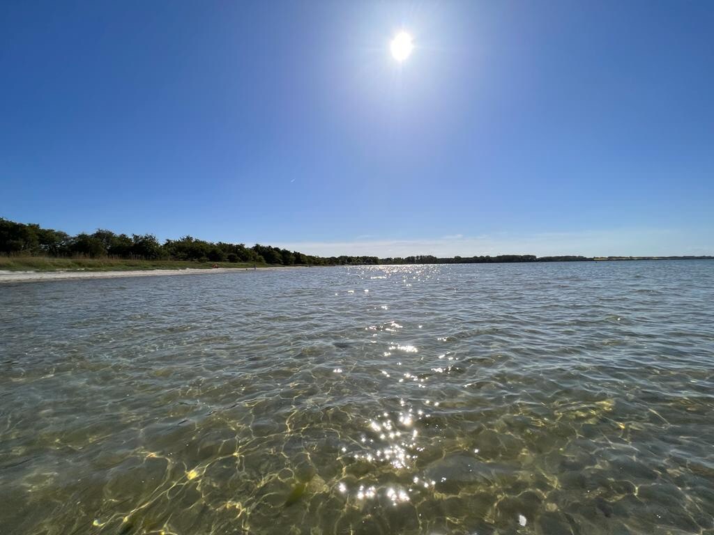 A serene water view is presented, featuring gently rippling water that reflects sunlight. The horizon showcases a line of greenery along the shore, under a clear blue sky filled with bright sunlight.