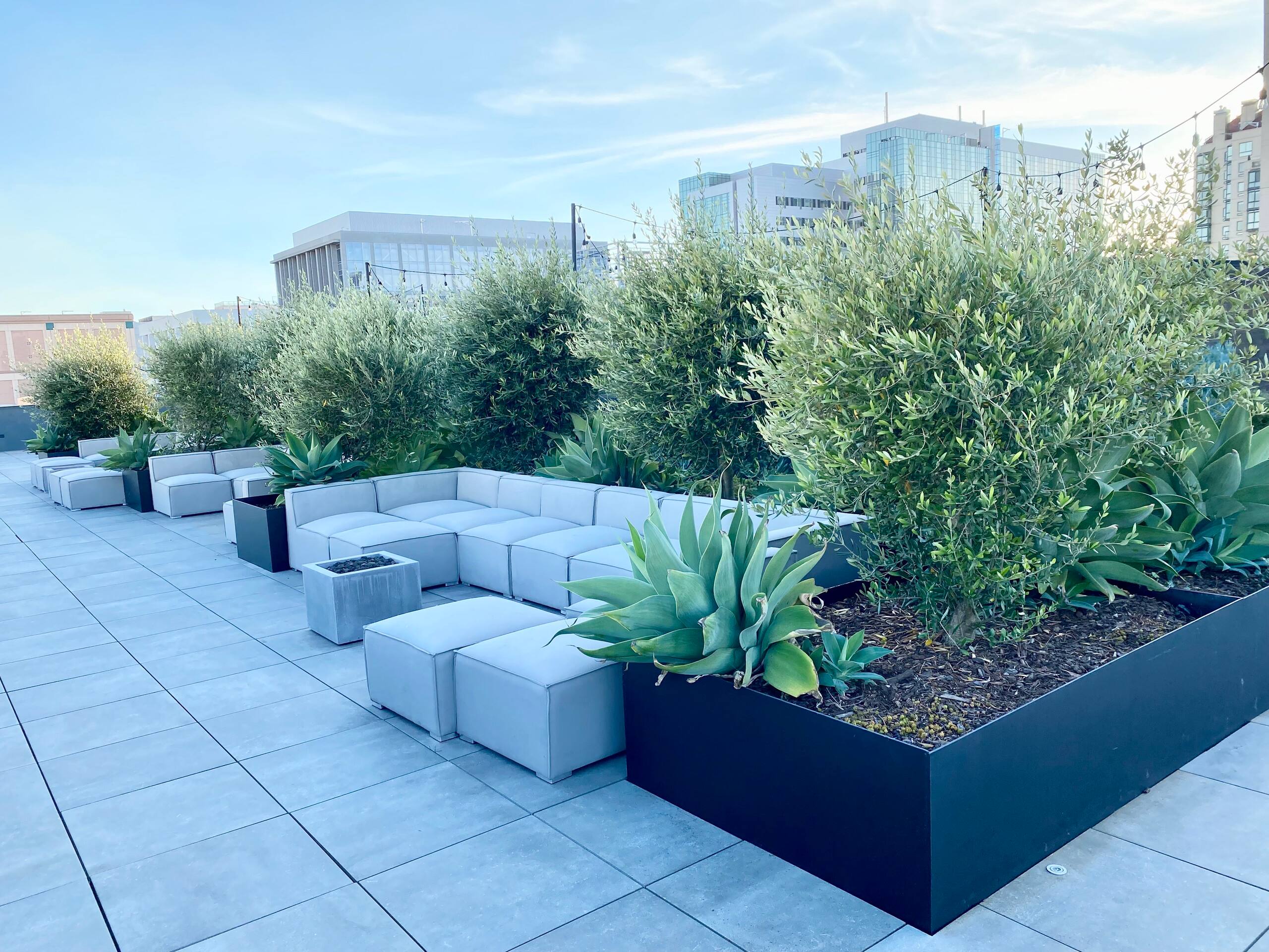 Condo in San Francisco · ★4.92 · 1 bedroom · 1 bed · 1 bath - Image 47