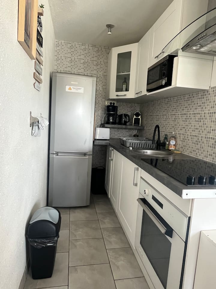 Joli Studio Vue Mer Et Montagne - Saint-Cyprien