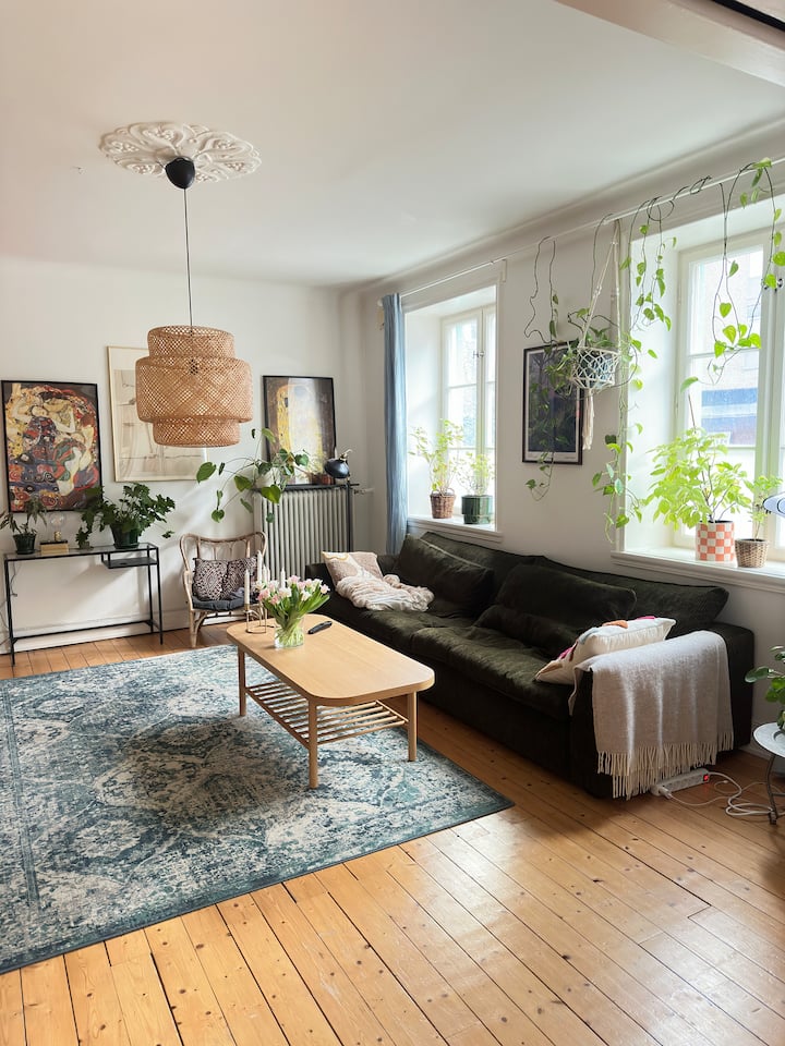 Malmö Vacation Rentals & Homes Skåne County, Sweden Airbnb