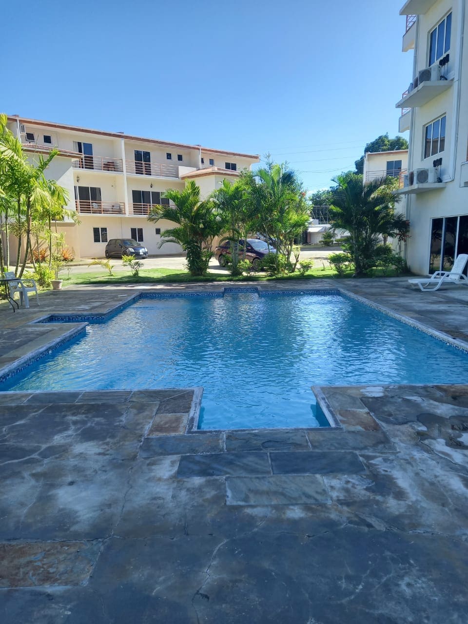 A clear blue swimming pool is outlined by a stone deck, surrounded by lush tropical plants. Sunlight reflects off the water, creating a serene atmosphere. Adjacent buildings provide a contrasting backdrop, completing the scene with a sense of tranquility.