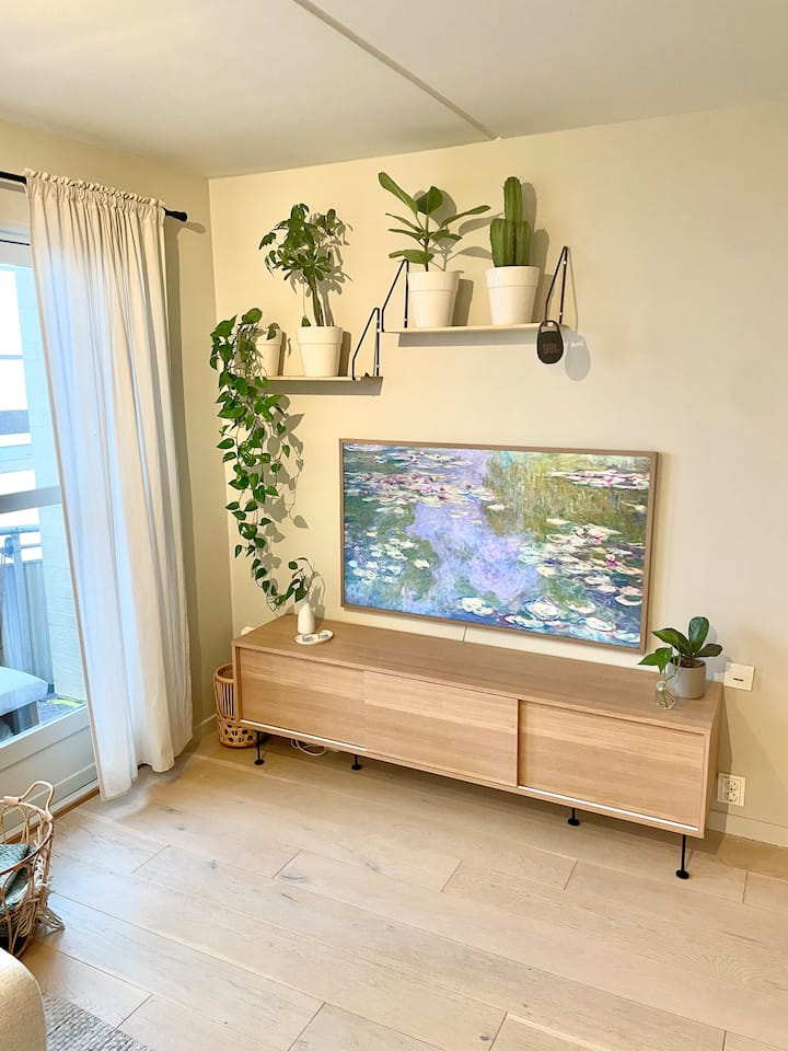 Sentral Og Komfortabel Leilighet - Oslo