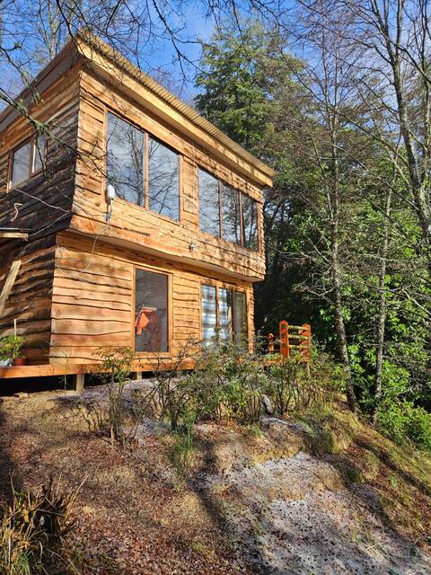 cabin in Nahuelbuta