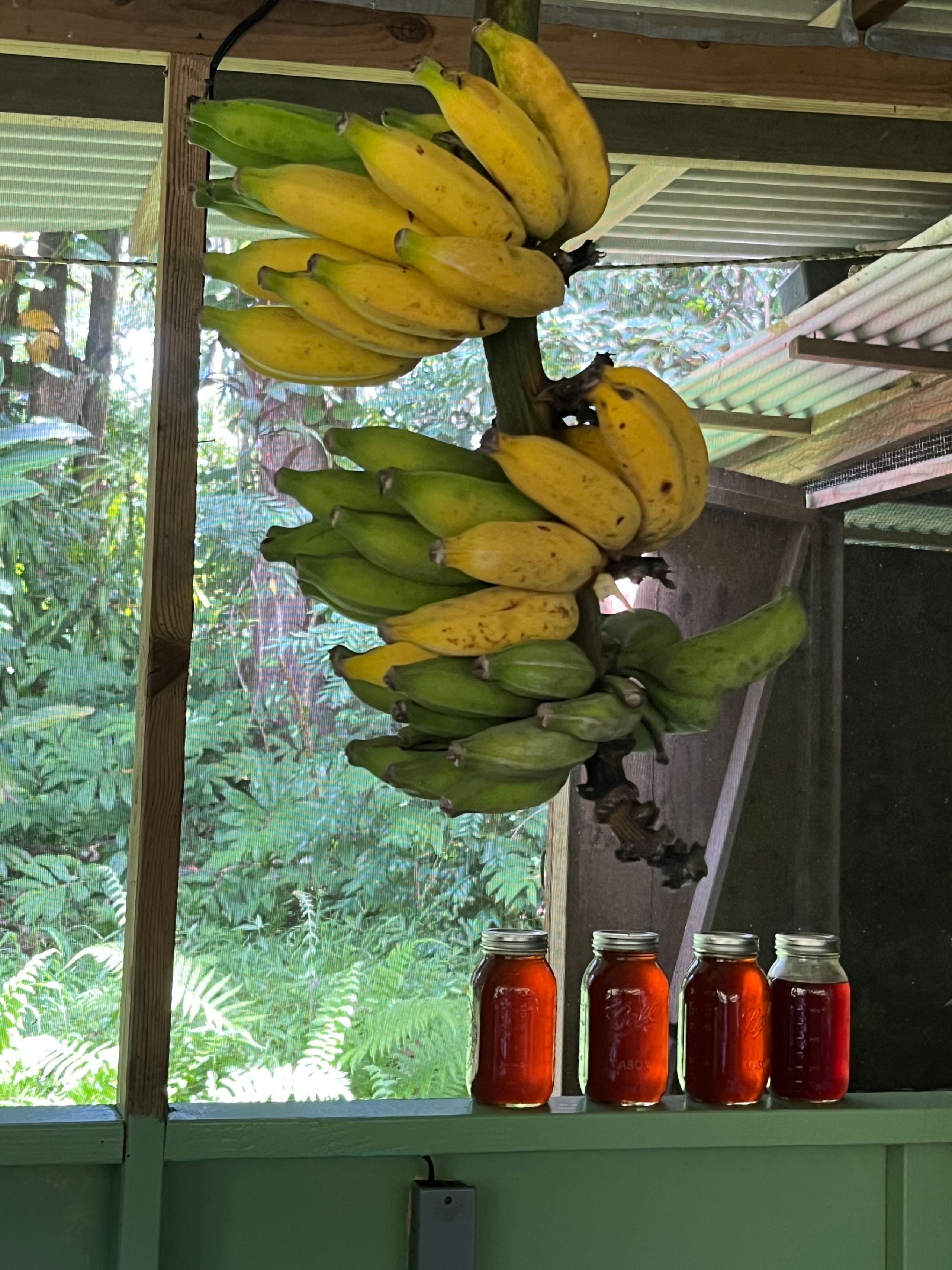 Low Summer Rates! Halemanu Eco-Retreat - Photo 38